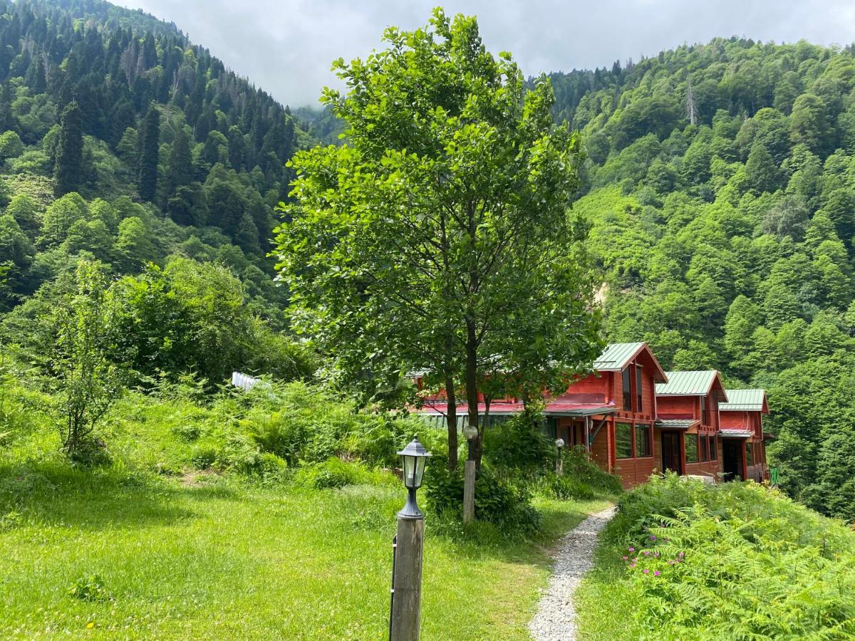 Ayder Villa Gencal Екстер'єр фото