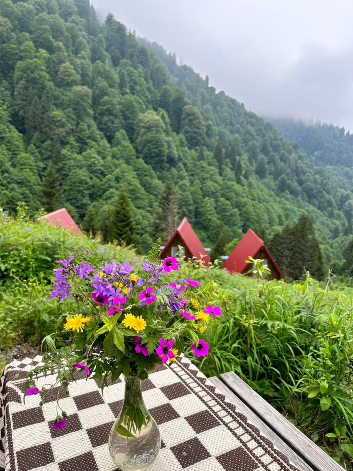 Ayder Villa Gencal Екстер'єр фото