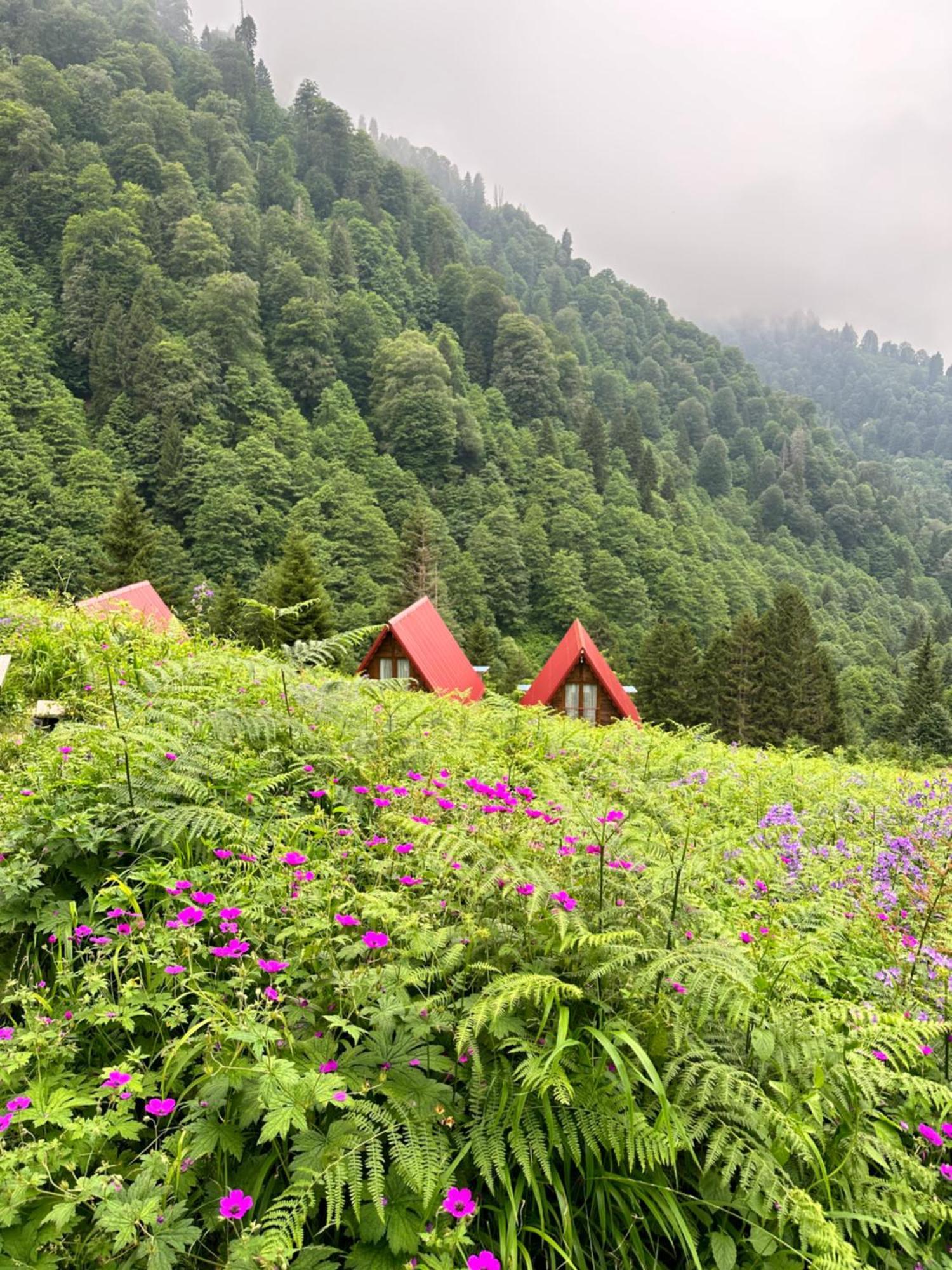 Ayder Villa Gencal Екстер'єр фото