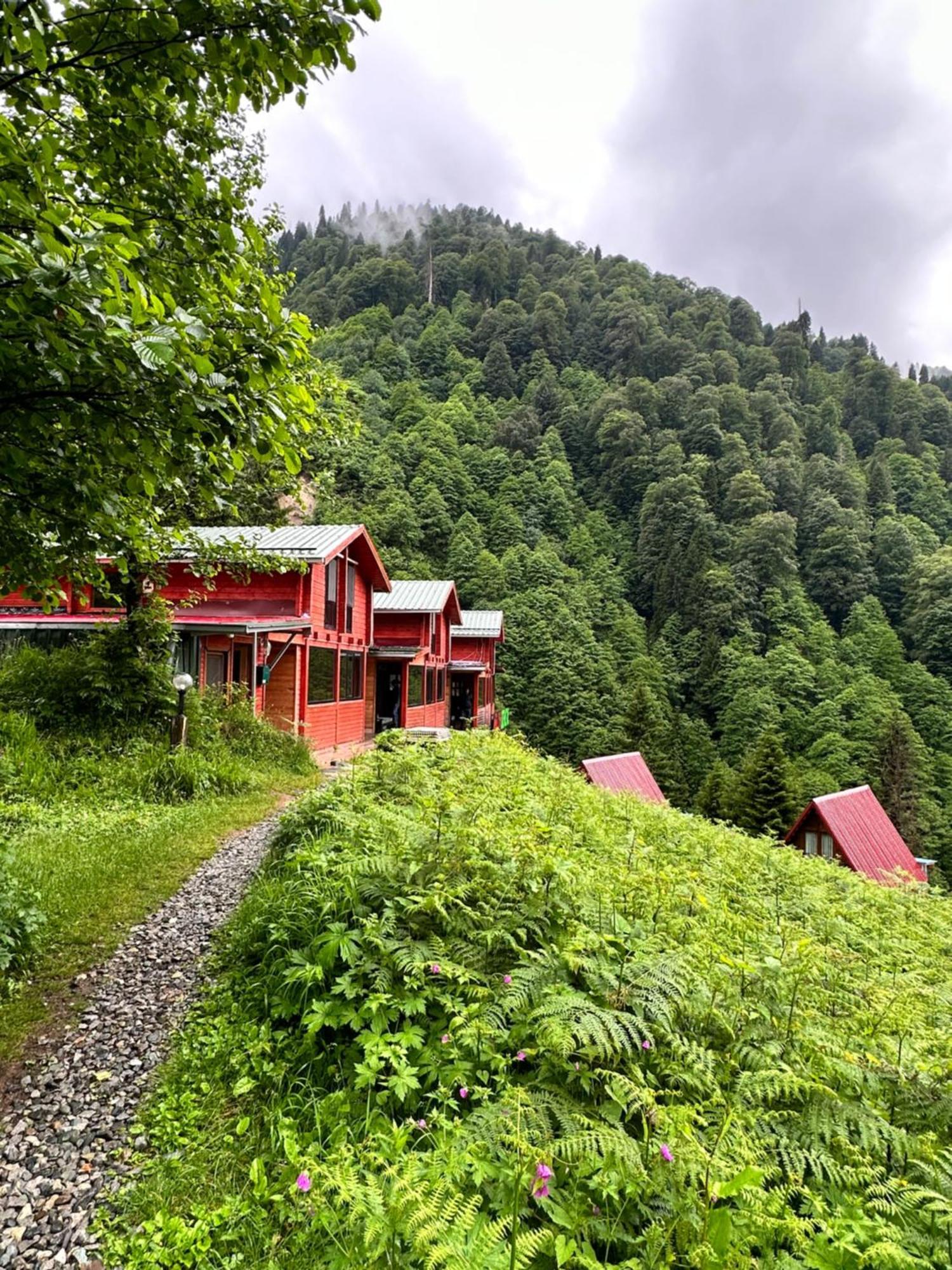 Ayder Villa Gencal Екстер'єр фото