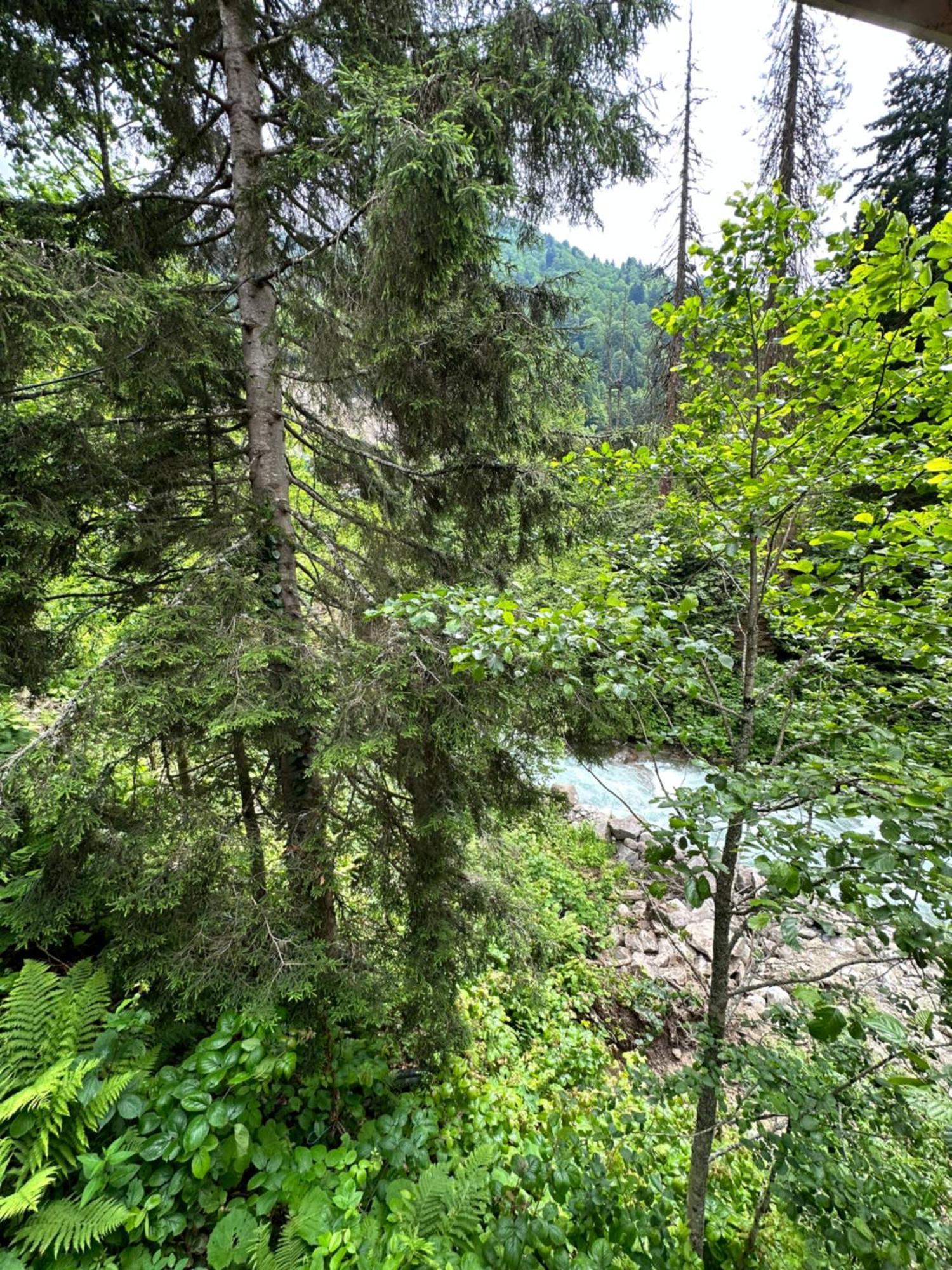 Ayder Villa Gencal Екстер'єр фото
