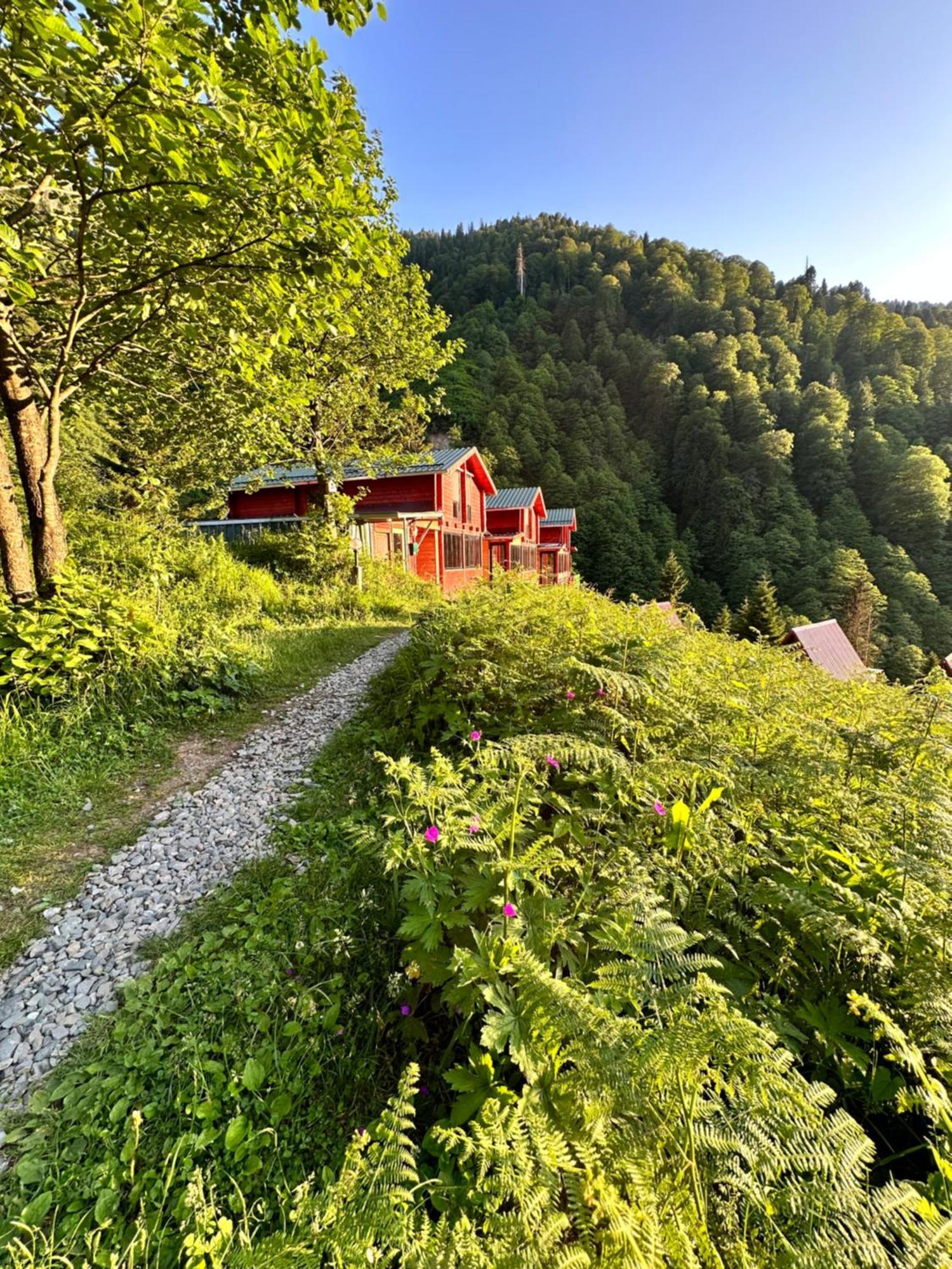 Ayder Villa Gencal Екстер'єр фото