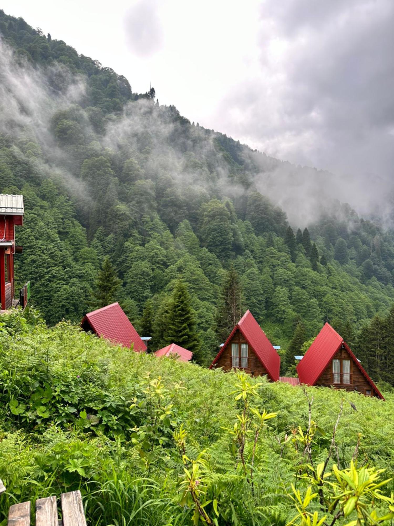 Ayder Villa Gencal Екстер'єр фото