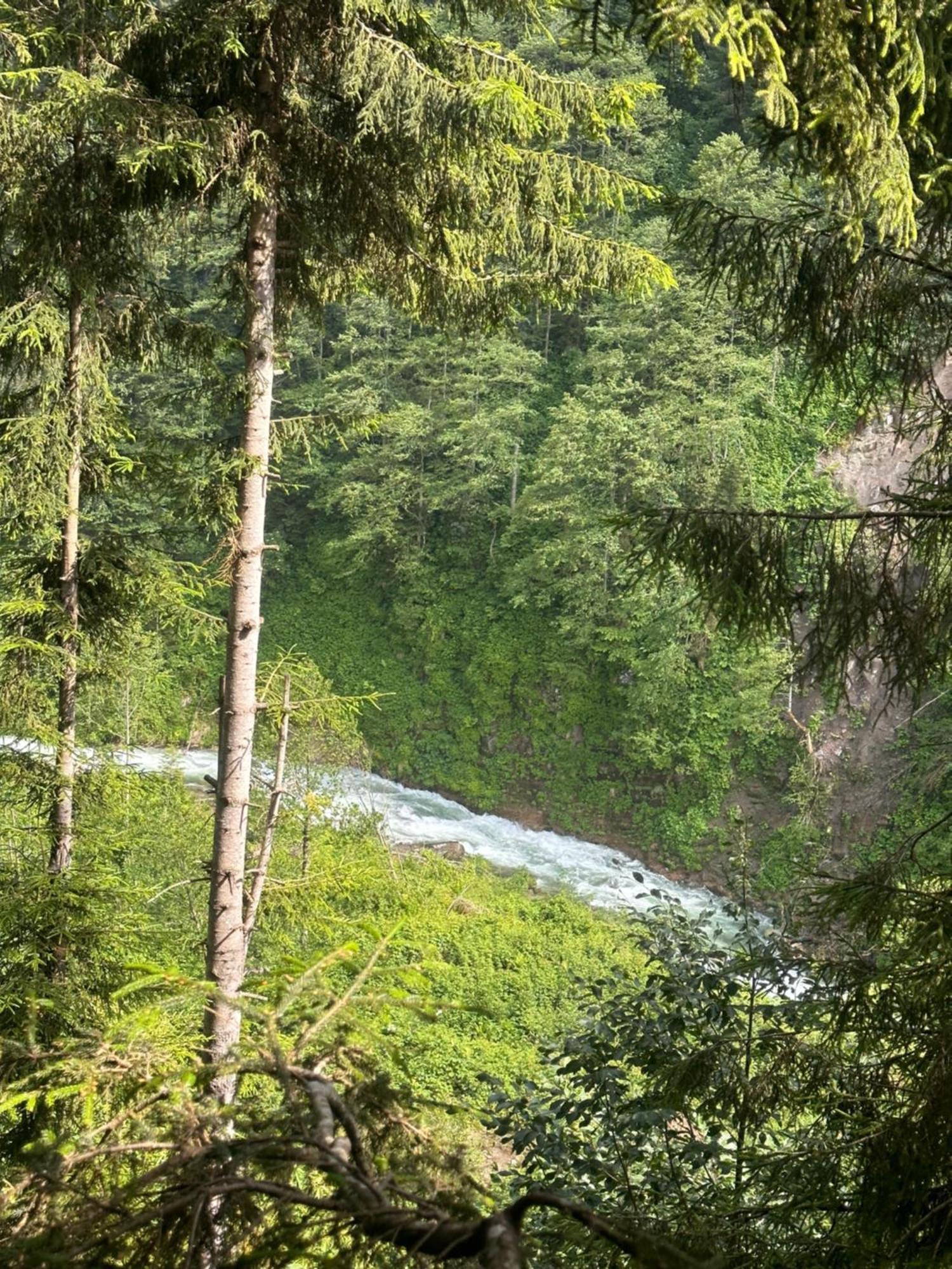 Ayder Villa Gencal Екстер'єр фото